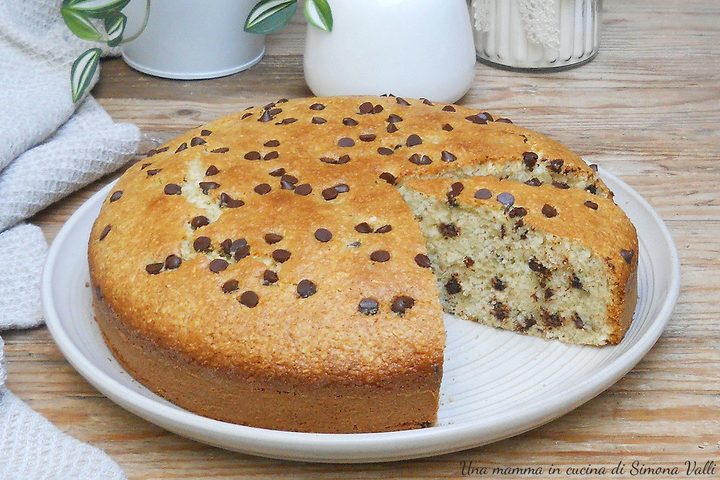Torta 5 minuti cocco e cioccolato con impasto allo yogurt, morbidissima e senza burro, perfetta per la colazione.
