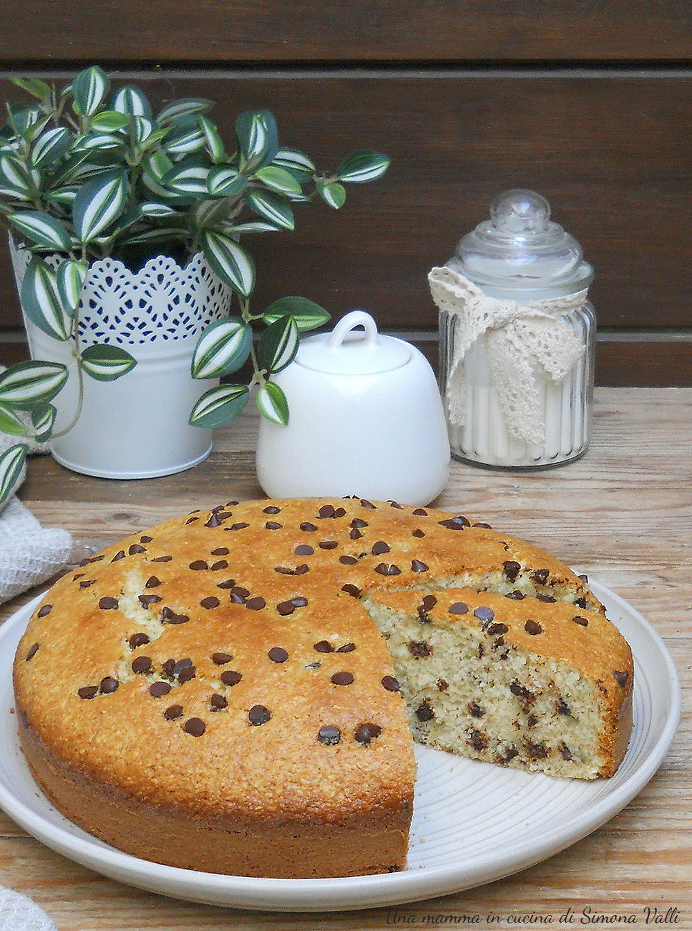 Torta 5 minuti cocco e cioccolato con impasto allo yogurt, morbidissima e senza burro, perfetta per la colazione.