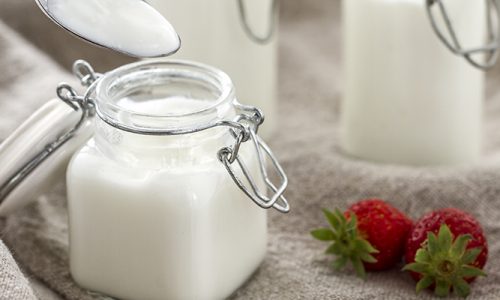 La soddisfazione di fare lo yogurt in casa