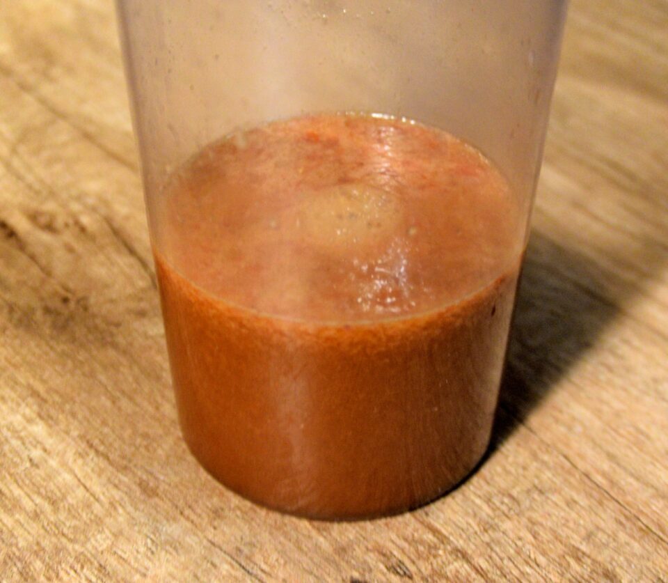 creazione salsa worcester