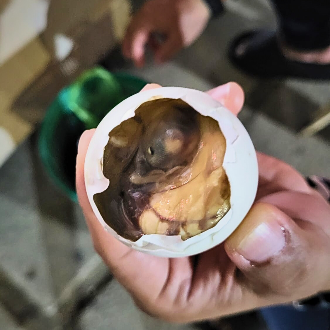 Balut