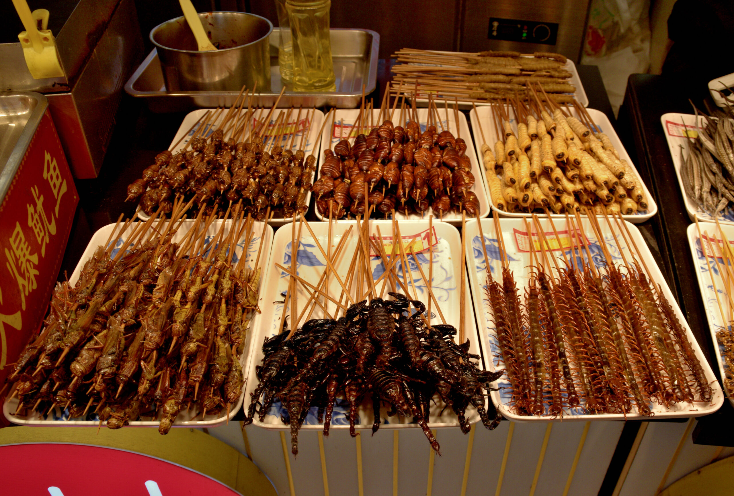 Insetti fritti