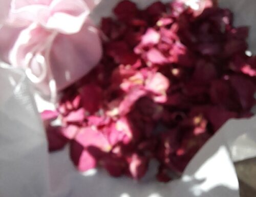 Petali di rosa essicati