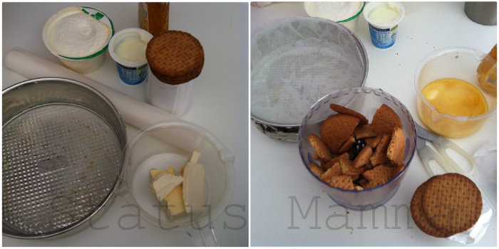 Torta fredda di ricotta al cocco " Coconut Cheesecake" ricetta dolce freddo status mamma giallo zafferano Gz blog foto tutorial