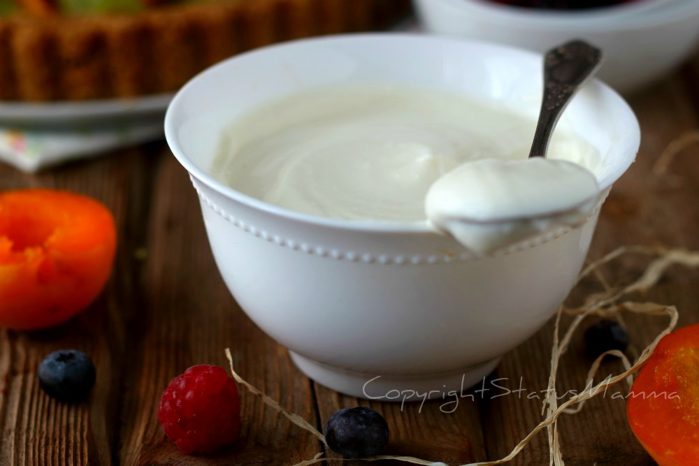 dolci al cucchiaio ricotta e yogurt