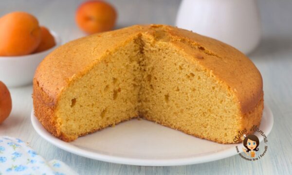 UNA DELIZIOSA TORTA PAN DI ALBICOCCHE ANCHE BIMBY