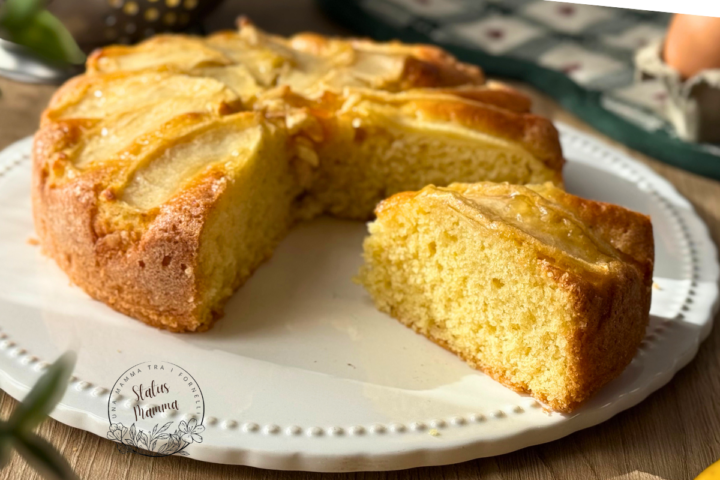 Torta con 1 Mela: Un Dolce Facile e Profumato per Ogni Momento
