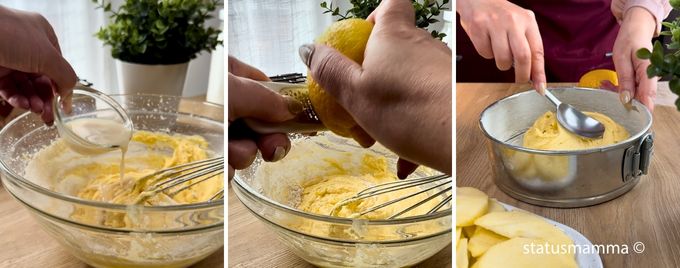 Torta con 1 Mela: Un Dolce Facile e Profumato per Ogni Momento