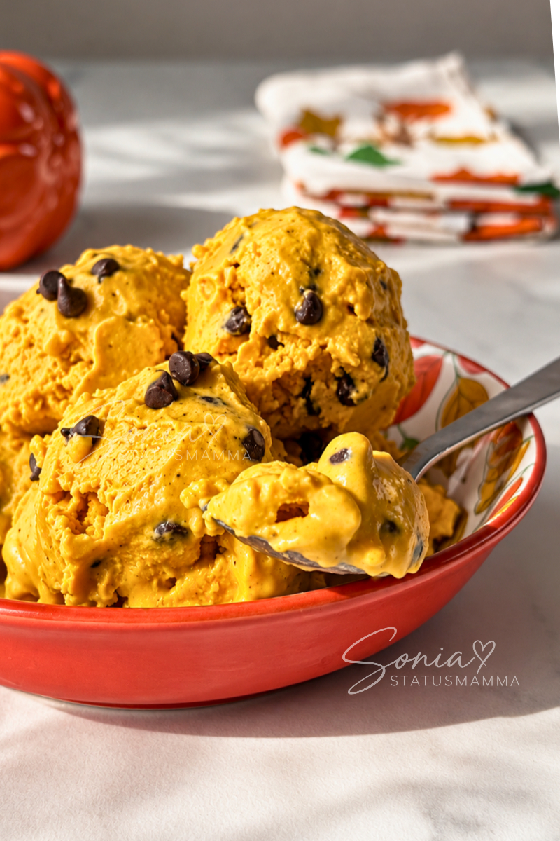 Gelato alla zucca cremoso con gocce di cioccolato fondente, servito in una ciotola rossa con un cucchiaio.