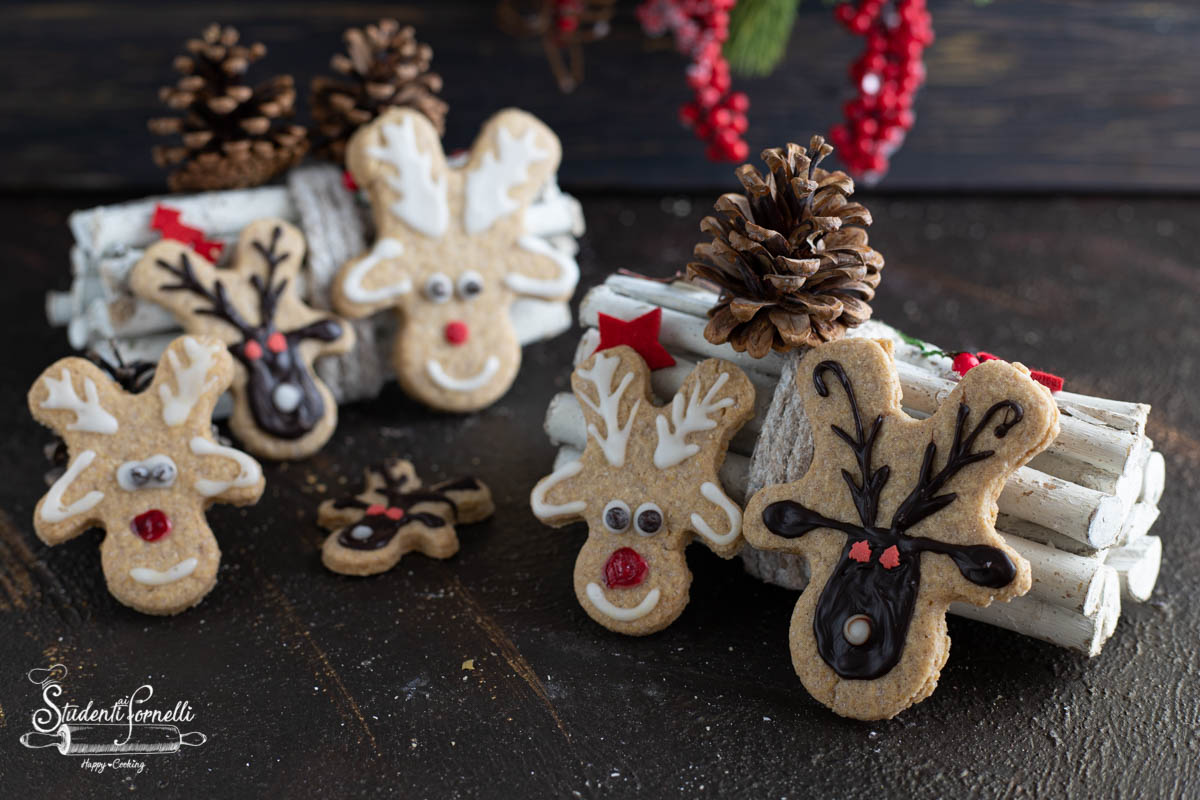 biscotti per natale da regalare