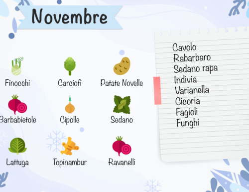 Verdure di stagione, la lista mese per mese