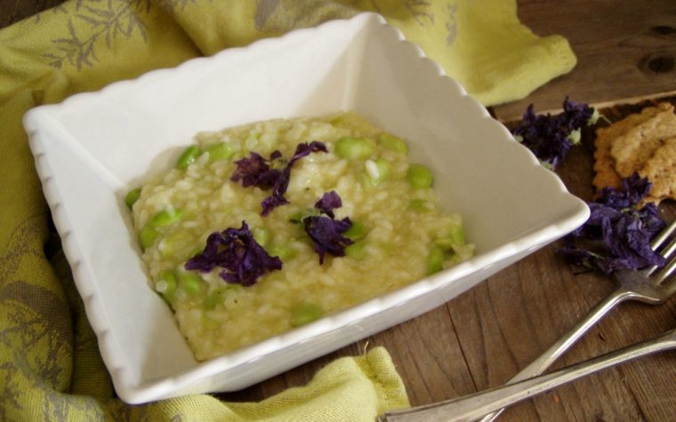 Risotto all'olio edamame e malva