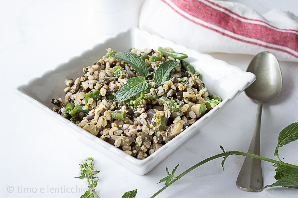 Insalata di farro fagiolini e melanzane