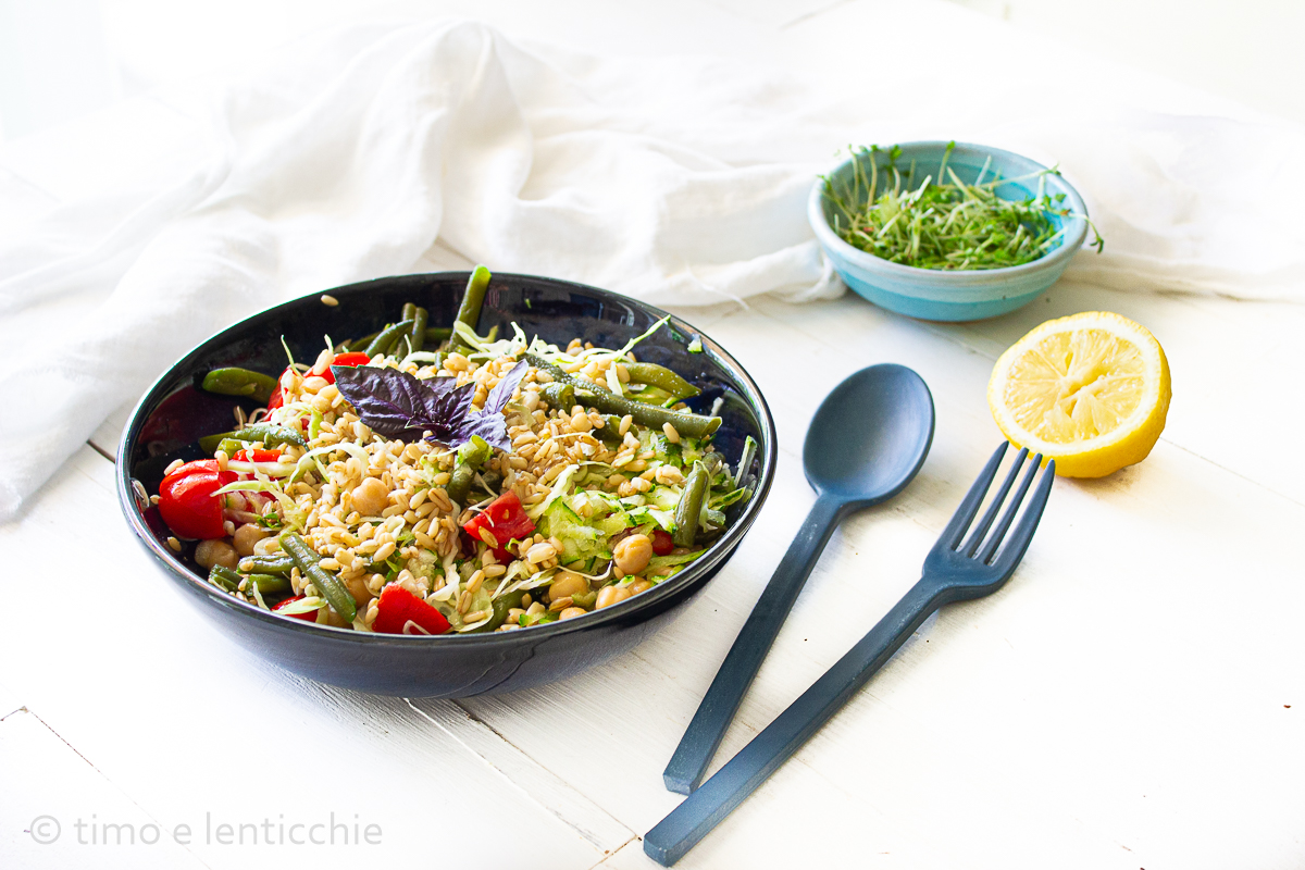 Insalata di avena ceci e verdure
