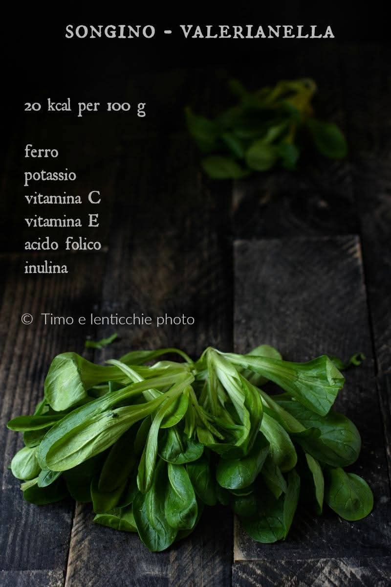 valerianella songino