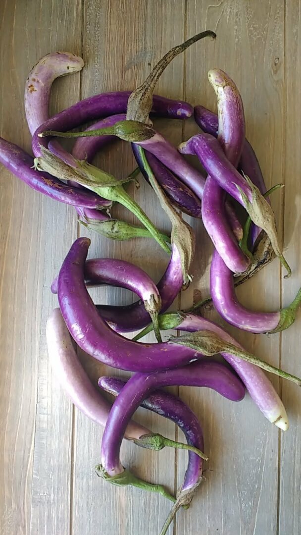 melanzane perlina al forno