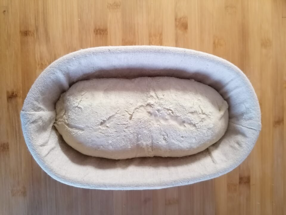 Contenitore per la lievitazione della pasta contenitore per la lievitazione  della ciotola per la conservazione del pane vassoio per la Pizza contenitori  per la fermentazione delle scatole per la lievitazione del pane