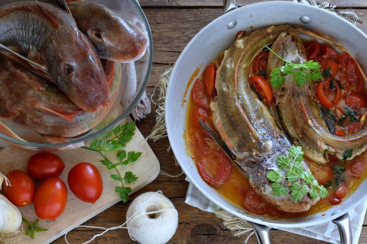 Gallinella al sugo di pomodoro - Una Manu in cucina