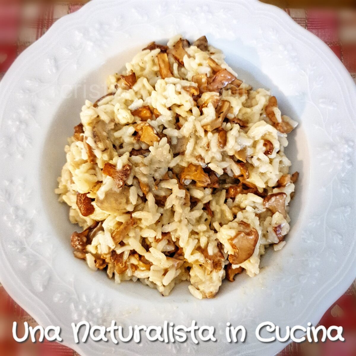 Risotto "eretico" ai funghi (in pentola a pressione) Una Naturalista