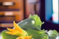 Zucchine