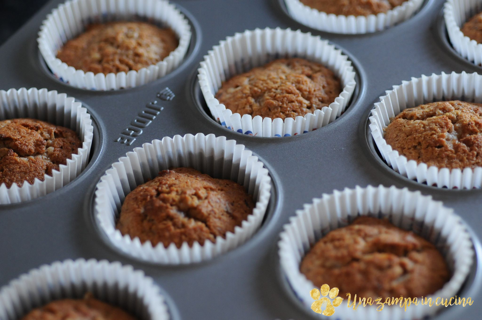 Mini cupcake per cani e umani  Ricette per cani e umani, Una