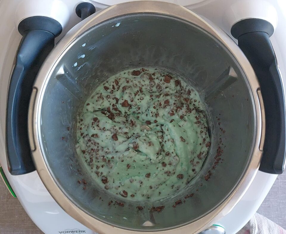 gelato cioccolato e menta bimby tm6 tm5 tm31 tm21 thermomix pic un papà in cucina con il bimby ricette recipe