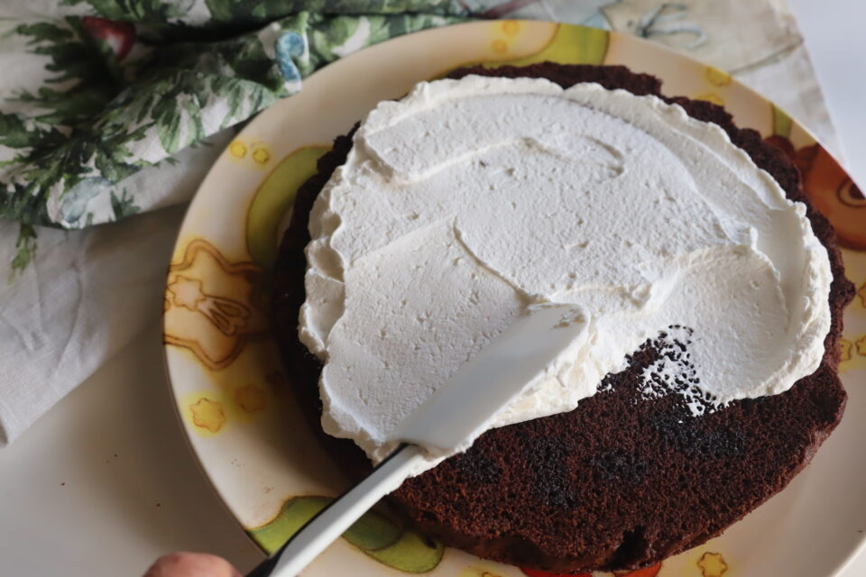 torta nera al vino rosso