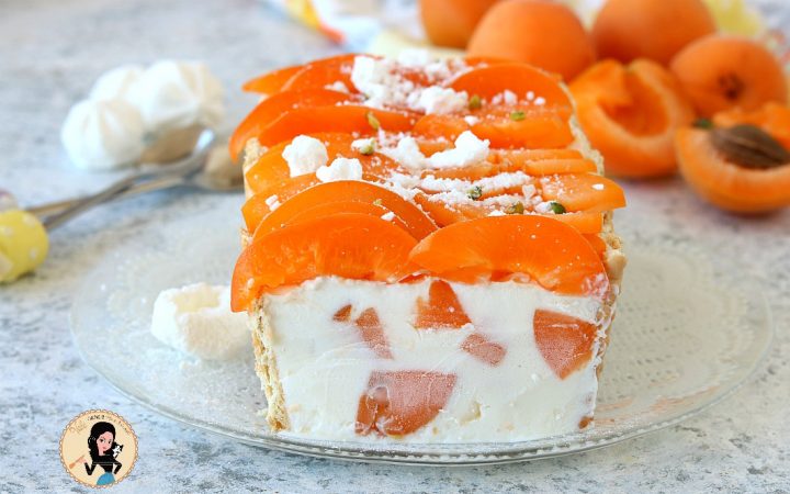 SEMIFREDDO RICOTTA E ALBICOCCHE, SEMIFREDDO RICOTTA E ALBICOCCHE dolce estivo senza cottura,