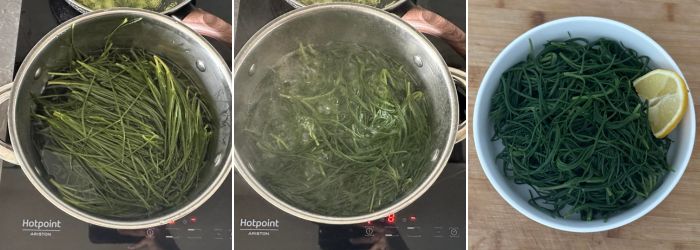 Come cucinare gli agretti 3 ricette divere e veloci per cucinare la barba di frate o agretti, leggeri, facili e gustosi
