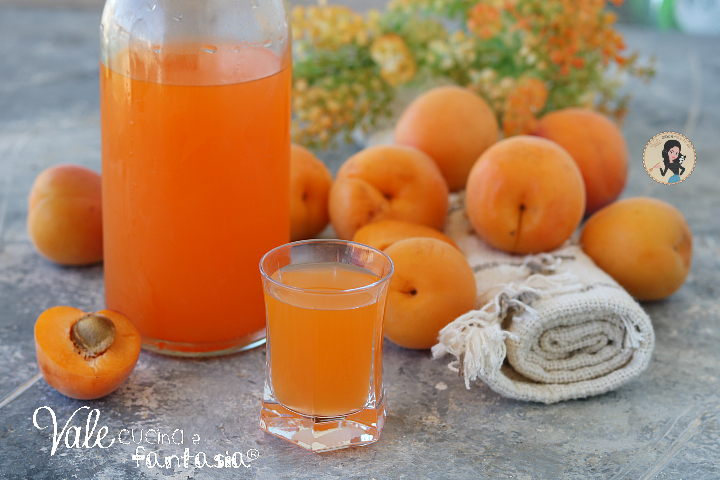 Liquore alle albicocche ricetta liquore fatto in casa facile e buonissimo!