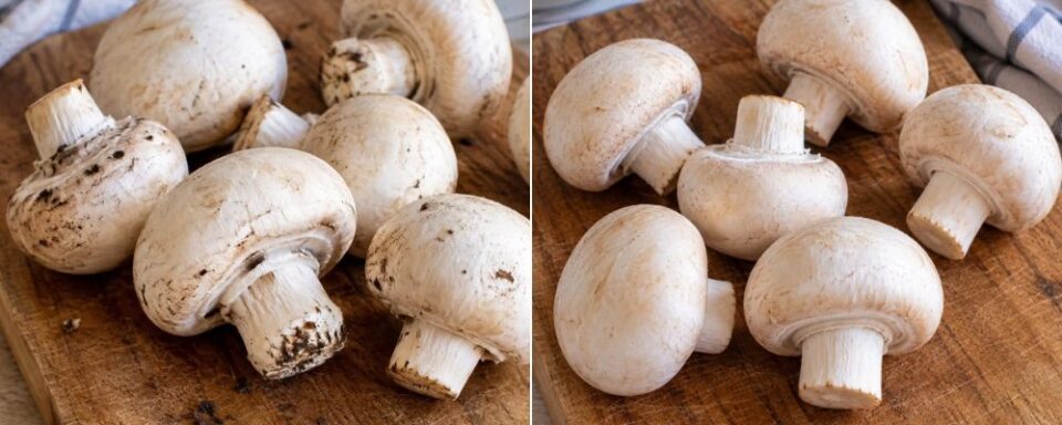 Come conservare i funghi freschi in frigorifero e farli durare più a lungo: sacchetto di carta, carta assorbente, consigli ed errori da evitare.