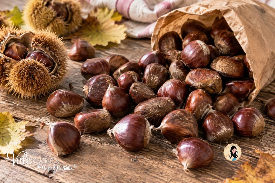 Come conservare le castagne a lungo: in frigorifero, nel freezer, crude o cotte e con il metodo tradizionale della novena. Tutti i consigli utili.

