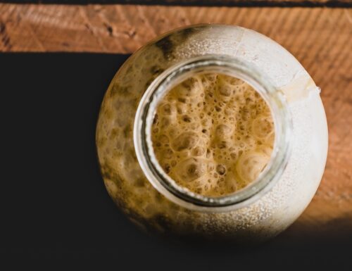 Il Lievito di birra. Da uno a centomila bolle.