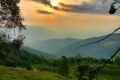 Cammino lungo sentieri. Nel sogno di pensare in silenzio