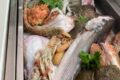 Alla scoperta del vero Brodetto Sanbenedettese: la lezione di gusto al Ristorante Puerto Baloo
