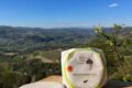 Robiola di Roccaverano DOP e vita al pascolo: L'azienda agricola Bricco della Croce