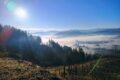 Che cosa è l' autunno e come vivere questa stagione