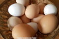 Si possono congelare le uova, fresche o sode?