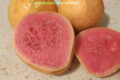 Guava: un frutto dalle mille proprietà