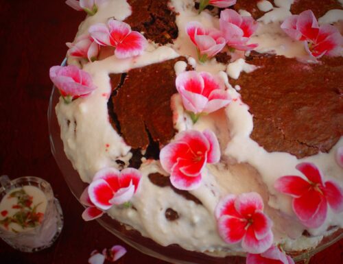 Red Velvet Cake alla crema al geranio- Senza lattosio e senza glutine (Stati Uniti)