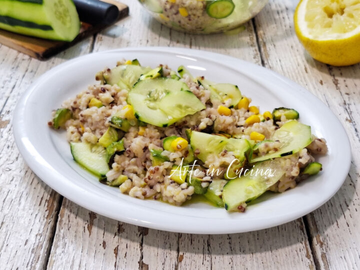 INSALATA di QUINOA ZUCCHINE e cetrioli