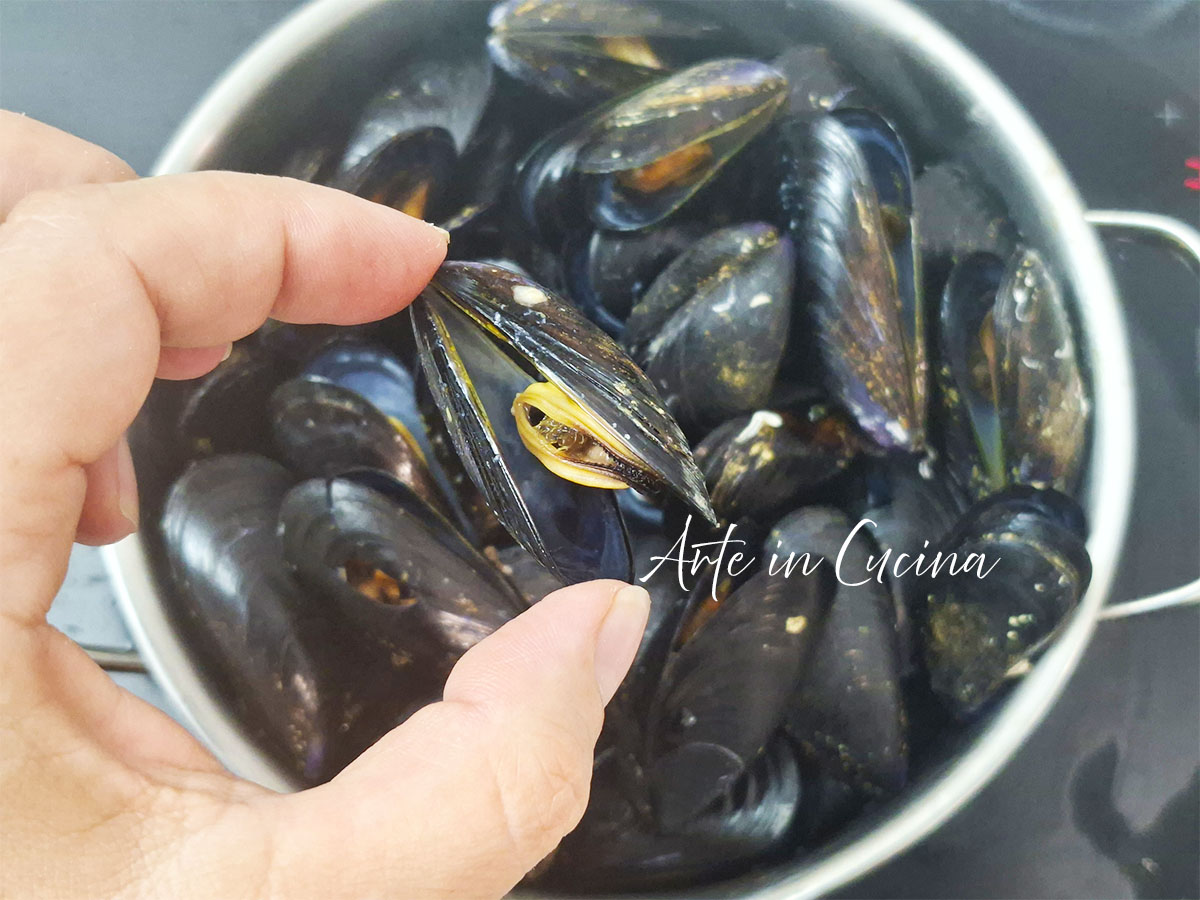 Come pulire le cozze e cucinarle: guida pratica e ricette